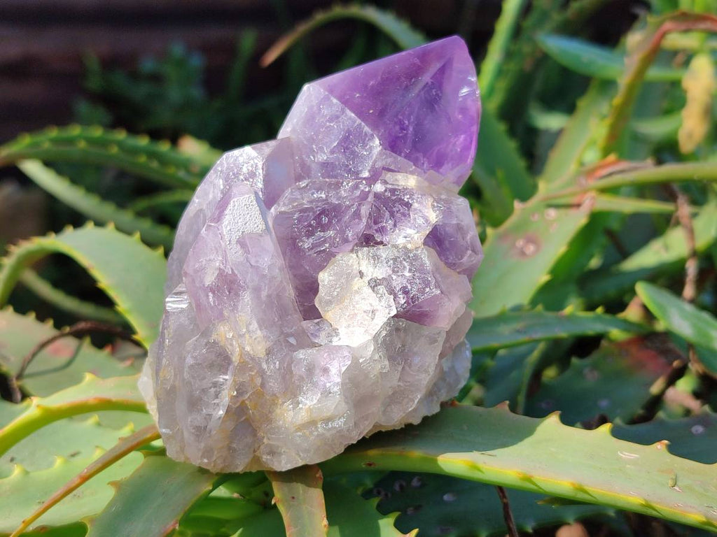 Polished Jacaranda Amethyst Quartz Crystals x 6 From Mumbwa, Zambia - Toprock Gemstones and Minerals 