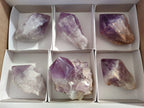 Polished Jacaranda Amethyst Quartz Crystals x 6 From Mumbwa, Zambia - Toprock Gemstones and Minerals 