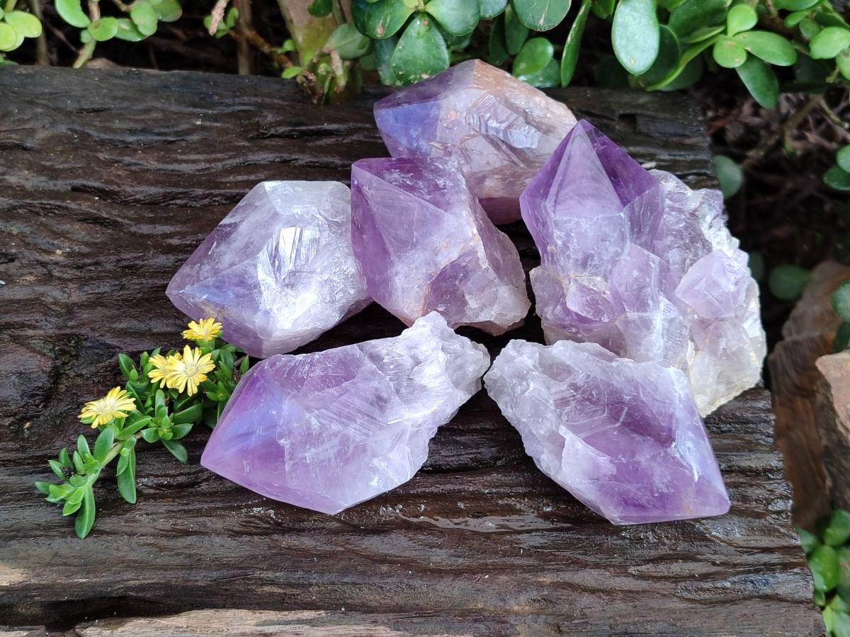 Polished Jacaranda Amethyst Quartz Crystals x 6 From Mumbwa, Zambia - Toprock Gemstones and Minerals 