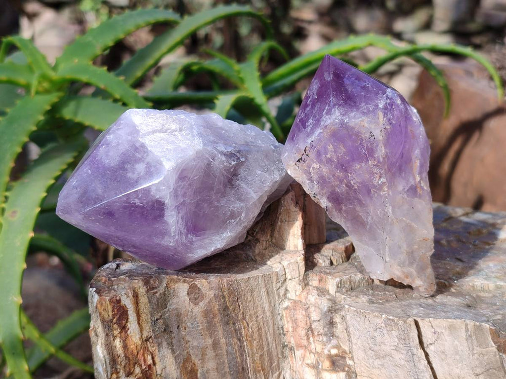 Polished Jacaranda Amethyst Quartz Crystals x 6 From Mumbwa, Zambia - Toprock Gemstones and Minerals 