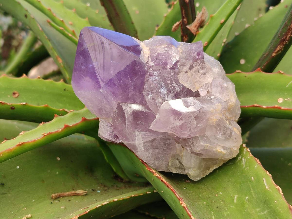 Polished Jacaranda Amethyst Quartz Crystals x 6 From Mumbwa, Zambia - Toprock Gemstones and Minerals 