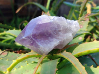Polished Jacaranda Amethyst Quartz Crystals x 6 From Mumbwa, Zambia - Toprock Gemstones and Minerals 