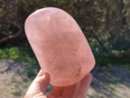 Polished Rose Quartz Standing Free Forms x 2 Madagascar - Toprock Gemstones and Minerals 