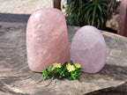 Polished Rose Quartz Standing Free Forms x 2 Madagascar - Toprock Gemstones and Minerals 