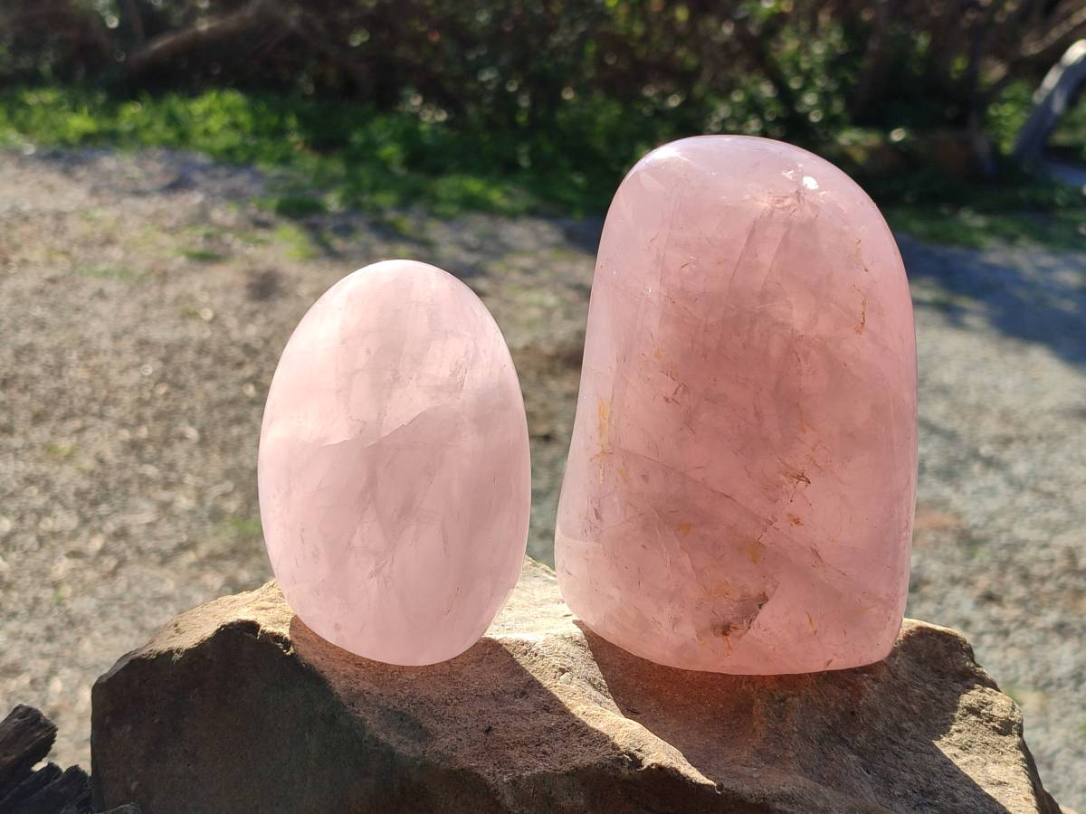Polished Rose Quartz Standing Free Forms x 2 Madagascar - Toprock Gemstones and Minerals 