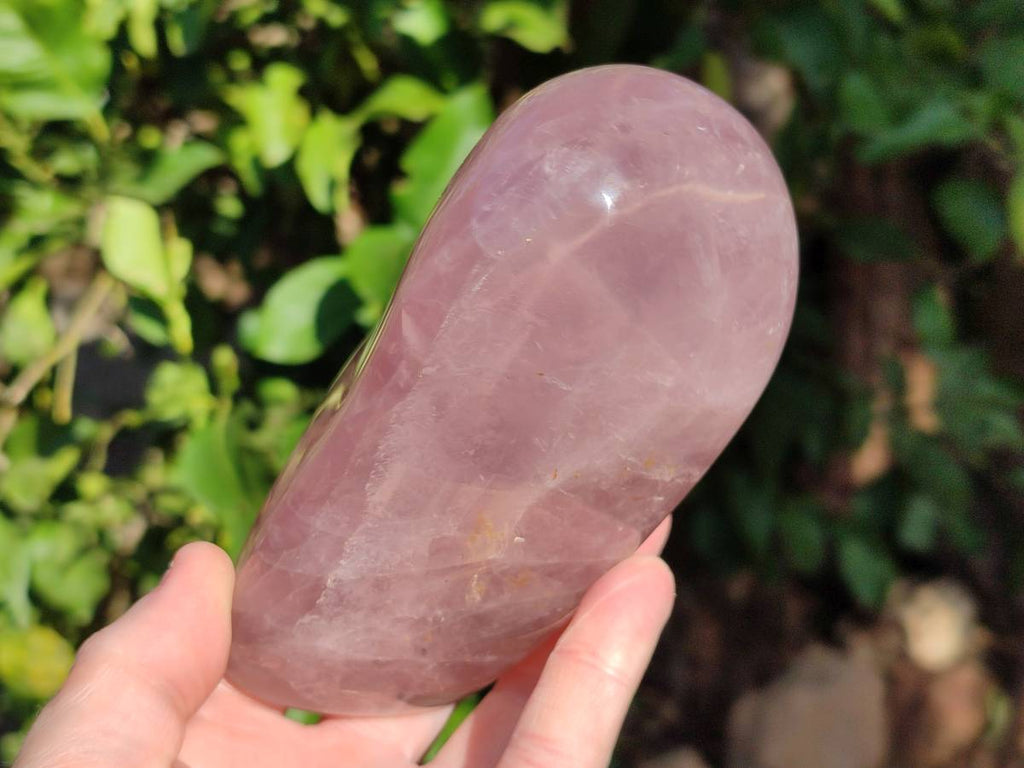Polished Rose Quartz Standing Free Forms x 2 Madagascar - Toprock Gemstones and Minerals 
