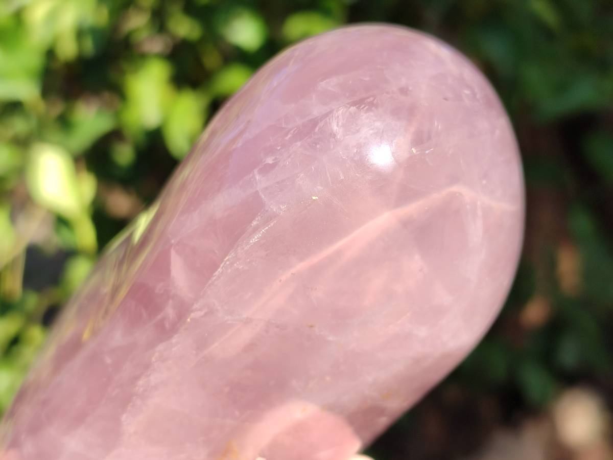 Polished Rose Quartz Standing Free Forms x 2 Madagascar - Toprock Gemstones and Minerals 