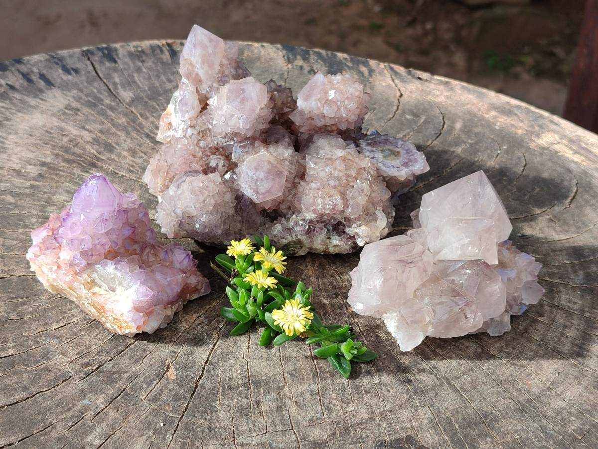 Natural Amethyst Spirit Quartz Clusters x 3 From Boekenhouthoek, South Africa - Toprock Gemstones and Minerals 