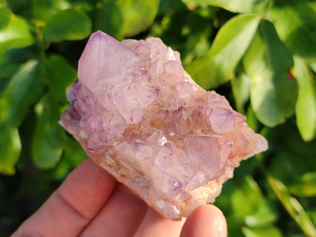 Natural Amethyst Spirit Quartz Clusters x 3 From Boekenhouthoek, South Africa - Toprock Gemstones and Minerals 