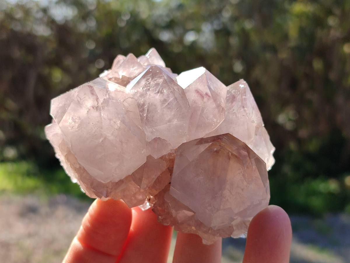 Natural Amethyst Spirit Quartz Clusters x 3 From Boekenhouthoek, South Africa - Toprock Gemstones and Minerals 