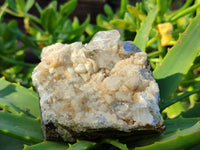 Natural Smokey Quartz Crystals x 5 From Brandberg, Namibia