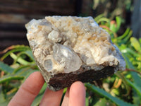 Natural Smokey Quartz Crystals x 5 From Brandberg, Namibia