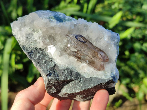 Natural Smokey Quartz Crystals x 5 From Brandberg, Namibia