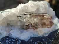 Natural Smokey Quartz Crystals x 5 From Brandberg, Namibia
