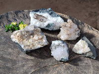 Natural Smokey Quartz Crystals x 5 From Brandberg, Namibia