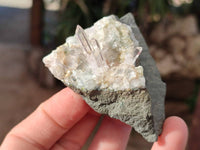 Natural Smokey Quartz Crystals x 5 From Brandberg, Namibia