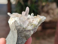 Natural Smokey Quartz Crystals x 5 From Brandberg, Namibia
