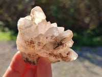 Natural Smokey Quartz Crystals x 5 From Brandberg, Namibia