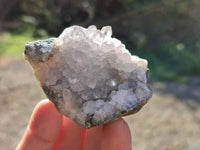 Natural Smokey Quartz Crystals x 5 From Brandberg, Namibia