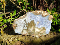 Polished On One Side Blue Lace Agate x 2 From Malawi
