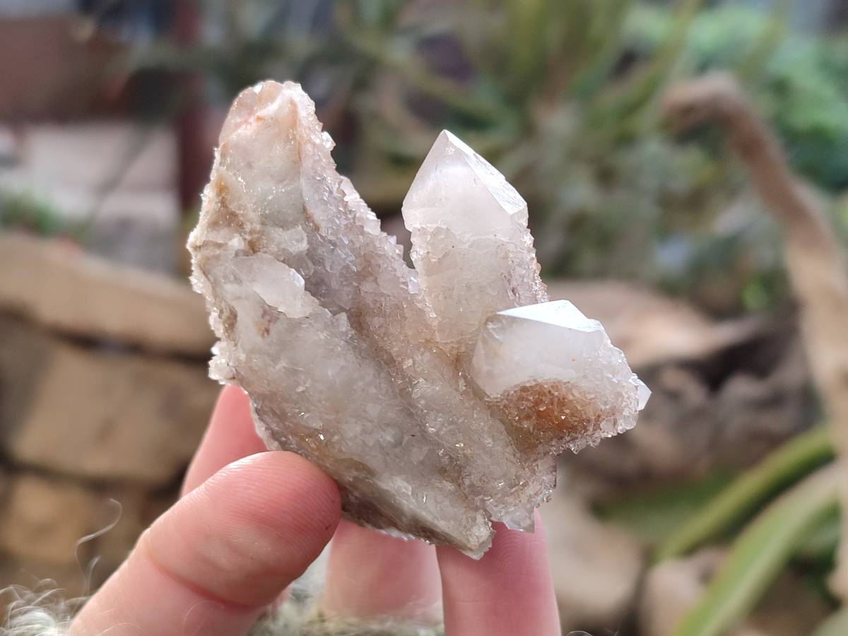 Natural Fairy Spirit Quartz Clusters x 12 From Boekenhouthoek, South Africa - Toprock Gemstones and Minerals 