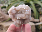 Natural Fairy Spirit Quartz Clusters x 12 From Boekenhouthoek, South Africa - Toprock Gemstones and Minerals 