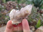 Natural Fairy Spirit Quartz Clusters x 12 From Boekenhouthoek, South Africa - Toprock Gemstones and Minerals 