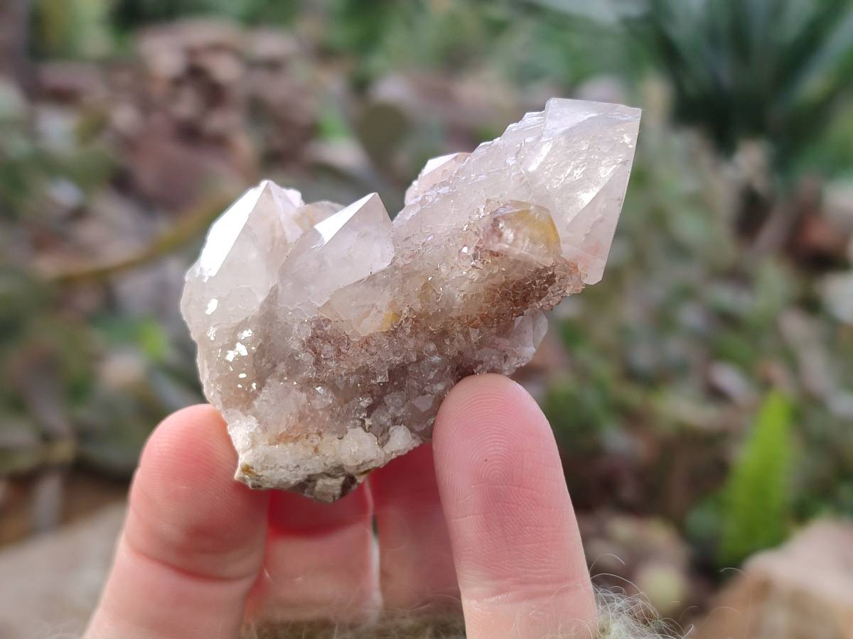 Natural Fairy Spirit Quartz Clusters x 12 From Boekenhouthoek, South Africa - Toprock Gemstones and Minerals 