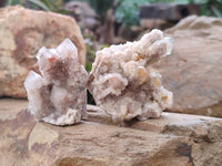 Natural Fairy Spirit Quartz Clusters x 12 From Boekenhouthoek, South Africa