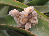 Natural Fairy Spirit Quartz Clusters x 12 From Boekenhouthoek, South Africa