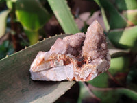 Natural Fairy Spirit Quartz Clusters x 12 From Boekenhouthoek, South Africa