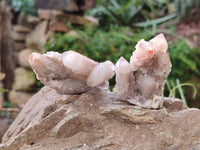 Natural Fairy Spirit Quartz Clusters x 12 From Boekenhouthoek, South Africa