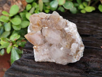 Natural Fairy Spirit Quartz Clusters x 12 From Boekenhouthoek, South Africa