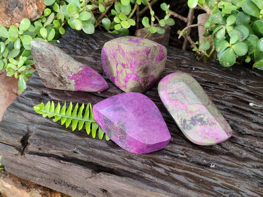 Polished Stichtite Free Forms x 4 From Barberton, South Africa - Toprock Gemstones and Minerals 