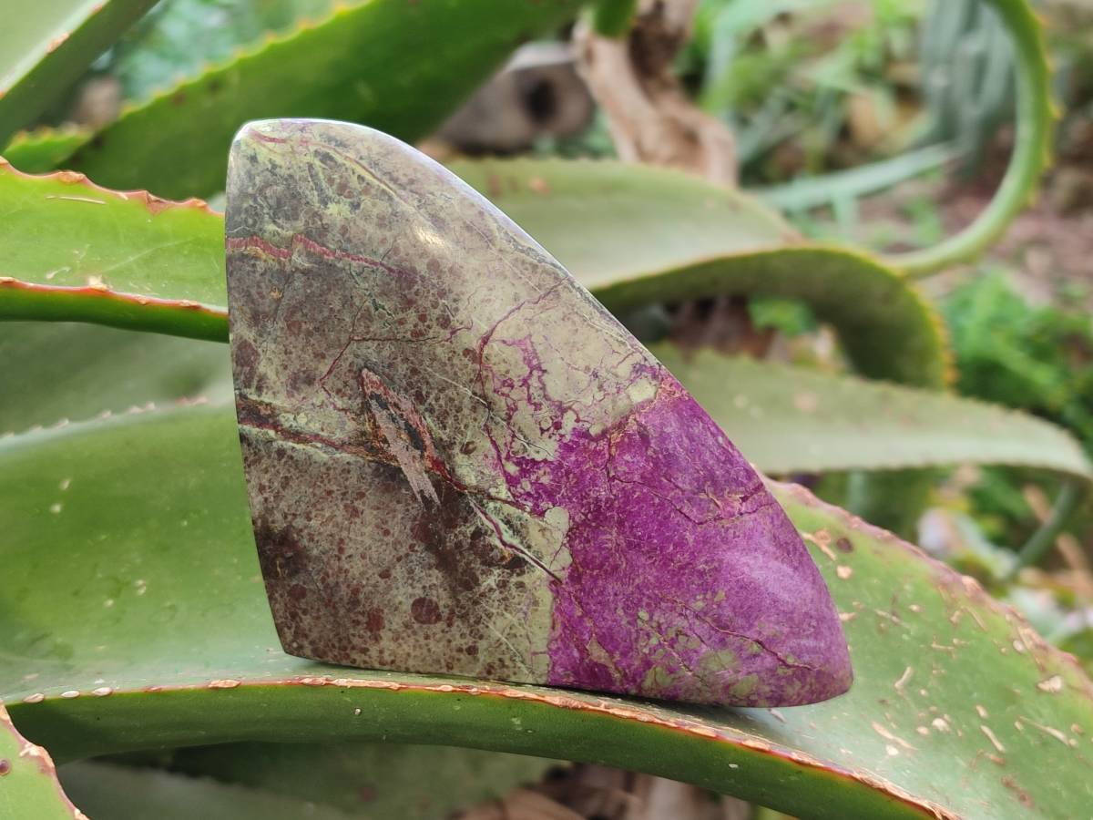 Polished Stichtite Free Forms x 4 From Barberton, South Africa - Toprock Gemstones and Minerals 