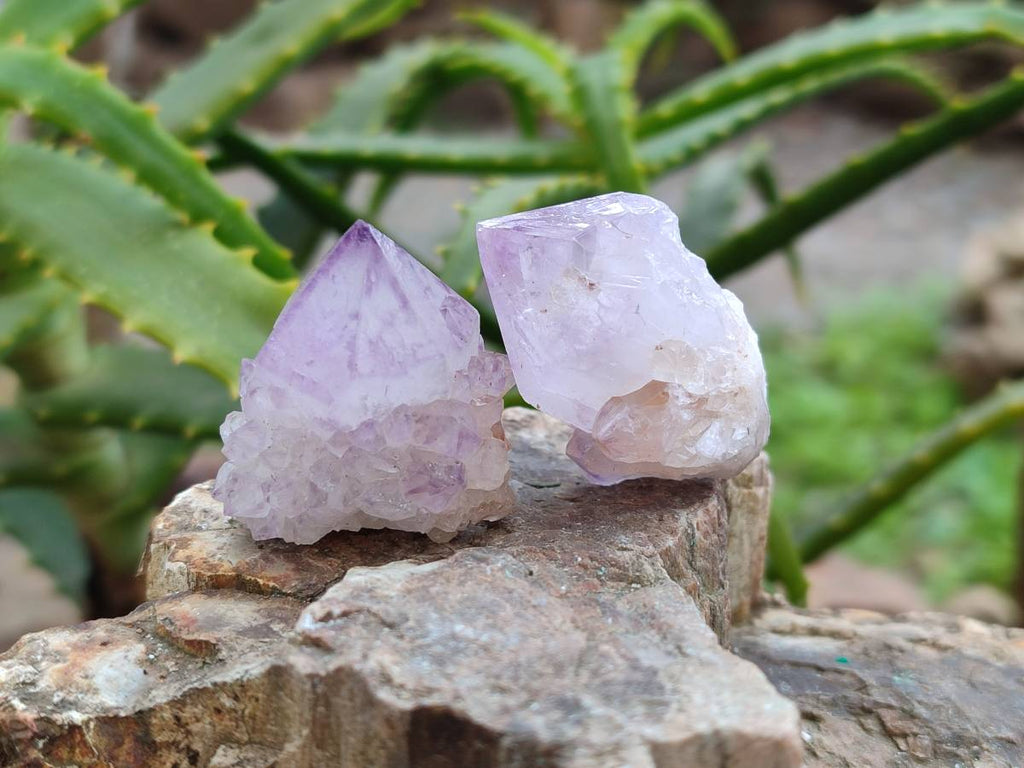 Natural Amethyst Spirit Quartz Crystals x 70 From Boekenhouthoek, South Africa - Toprock Gemstones and Minerals 