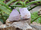 Natural Amethyst Spirit Quartz Crystals x 70 From Boekenhouthoek, South Africa - Toprock Gemstones and Minerals 
