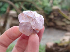 Natural Amethyst Spirit Quartz Crystals x 70 From Boekenhouthoek, South Africa - Toprock Gemstones and Minerals 