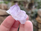 Natural Amethyst Spirit Quartz Crystals x 70 From Boekenhouthoek, South Africa - Toprock Gemstones and Minerals 