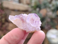 Natural Amethyst Spirit Quartz Crystals x 70 From Boekenhouthoek, South Africa
