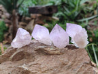 Natural Amethyst Spirit Quartz Crystals x 70 From Boekenhouthoek, South Africa - Toprock Gemstones and Minerals 