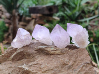 Natural Amethyst Spirit Quartz Crystals x 70 From Boekenhouthoek, South Africa