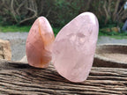 Polished Rose Quartz Standing Free Forms x 2 Madagascar - Toprock Gemstones and Minerals 