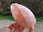 Polished Rose Quartz Standing Free Forms x 2 Madagascar - Toprock Gemstones and Minerals 