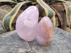 Polished Rose Quartz Standing Free Forms x 2 Madagascar - Toprock Gemstones and Minerals 