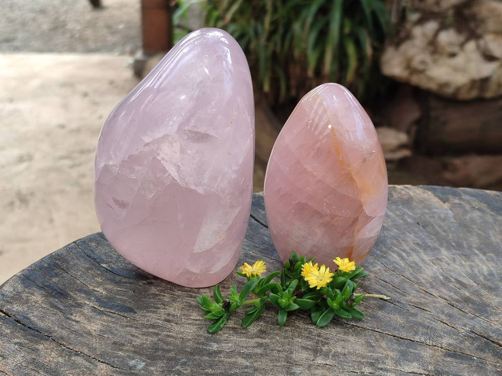 Polished Rose Quartz Standing Free Forms x 2 Madagascar - Toprock Gemstones and Minerals 
