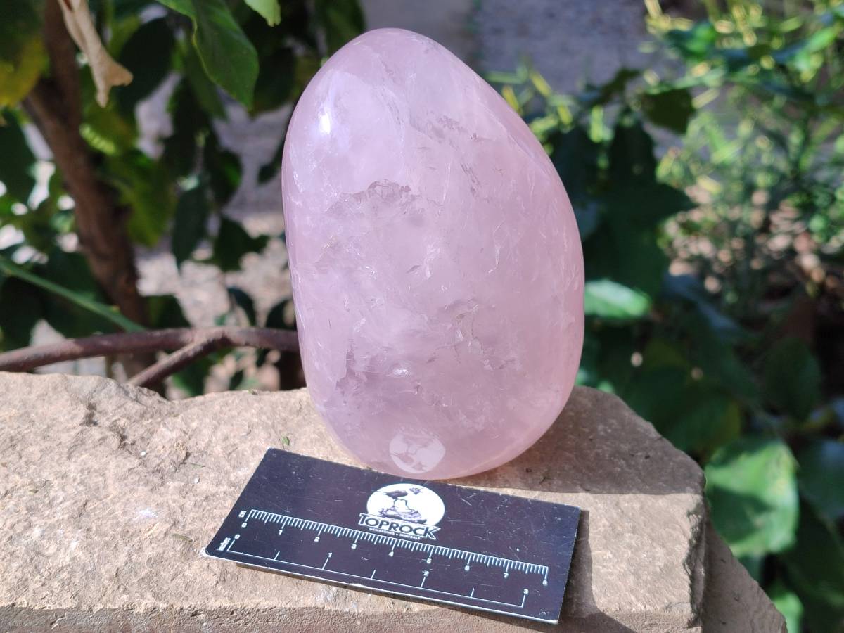 Polished Rose Quartz Standing Free Forms x 2 Madagascar - Toprock Gemstones and Minerals 