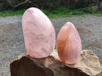 Polished Rose Quartz Standing Free Forms x 2 Madagascar - Toprock Gemstones and Minerals 