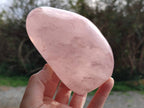 Polished Rose Quartz Standing Free Forms x 2 Madagascar - Toprock Gemstones and Minerals 
