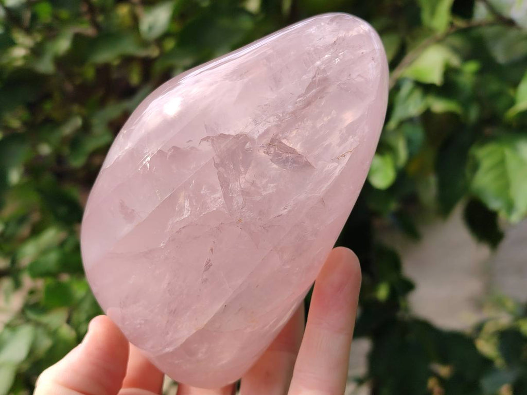 Polished Rose Quartz Standing Free Forms x 2 Madagascar - Toprock Gemstones and Minerals 